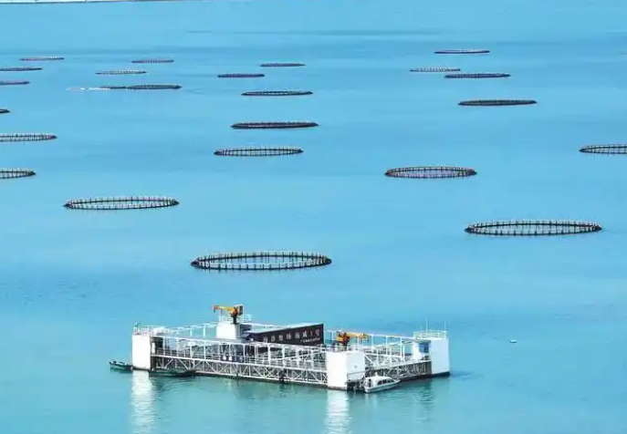 ���Ű���